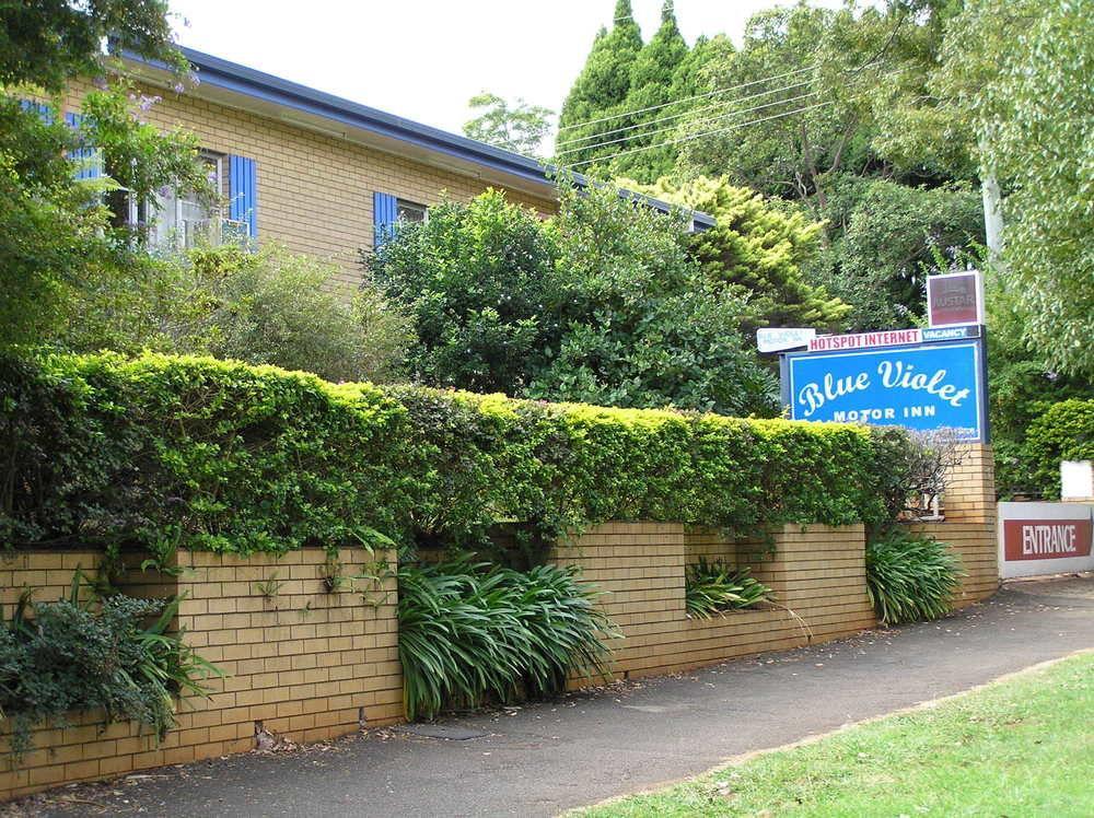 Blue Violet Motor Inn Toowoomba Dış mekan fotoğraf